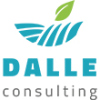 DALLE CONSULTING SAS